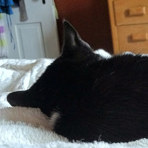 Meet your Posher, Jenny